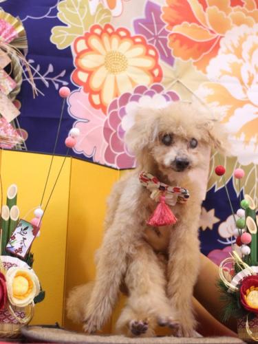 20240128モカくん